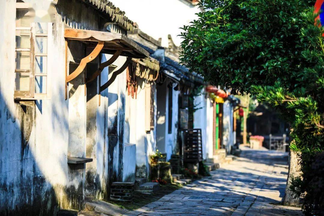 肺鱼离开水4年，为什么可以不死？游戏画面
